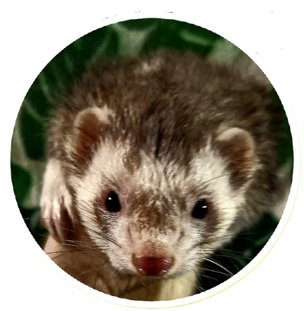 Image principale du site 3