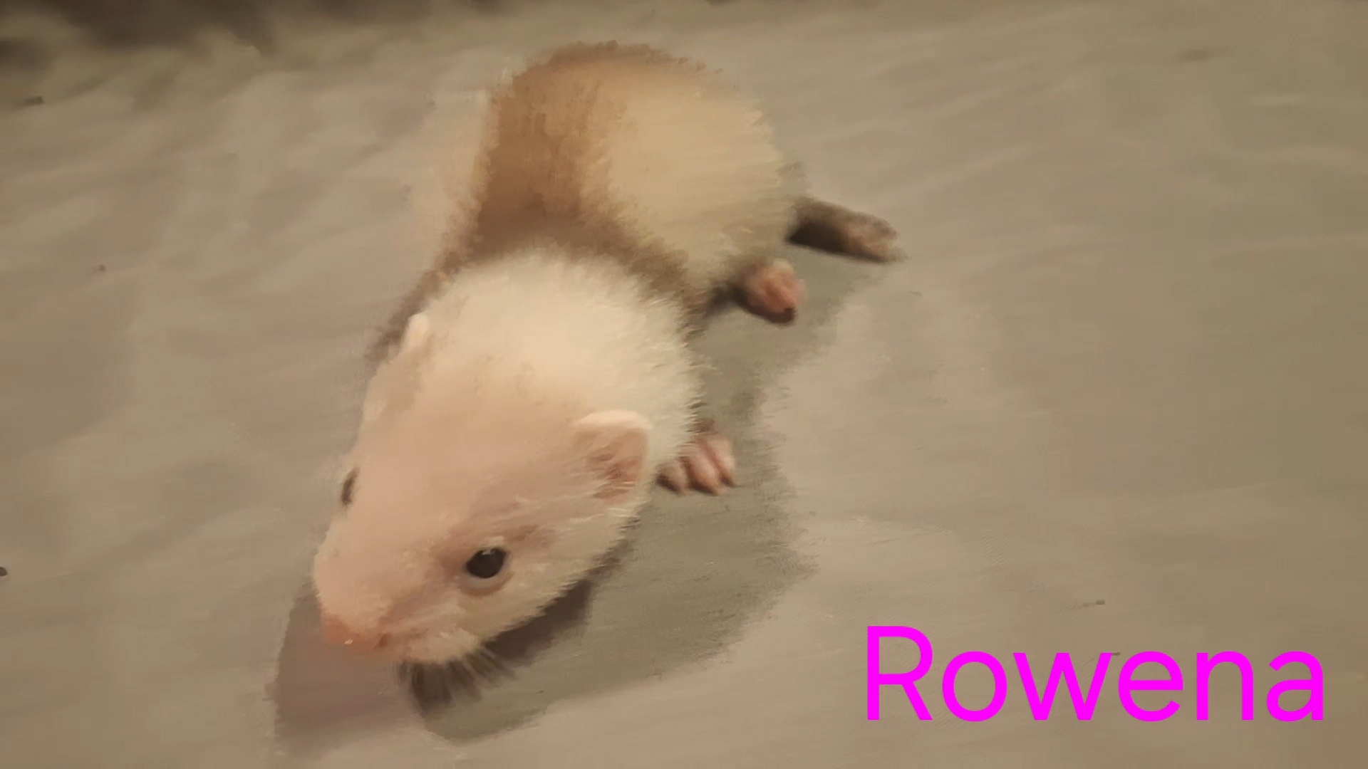 Rowena