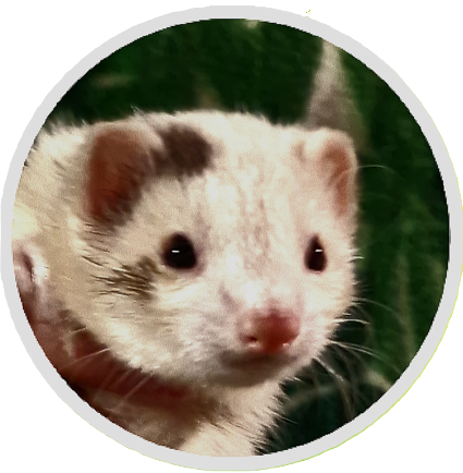 Image principale du site 4